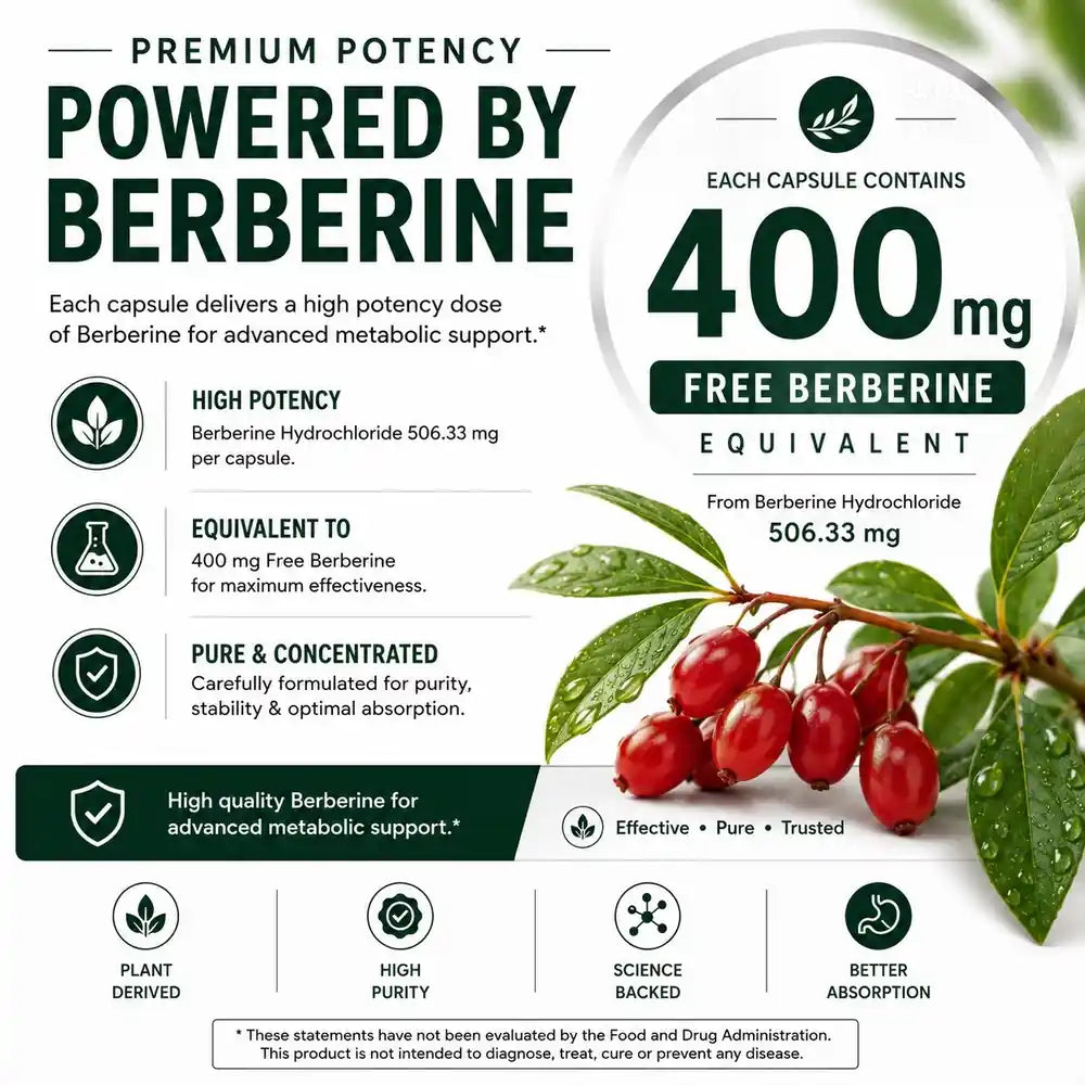 Berberine 400mg potency infographic for metabolic wellness support
