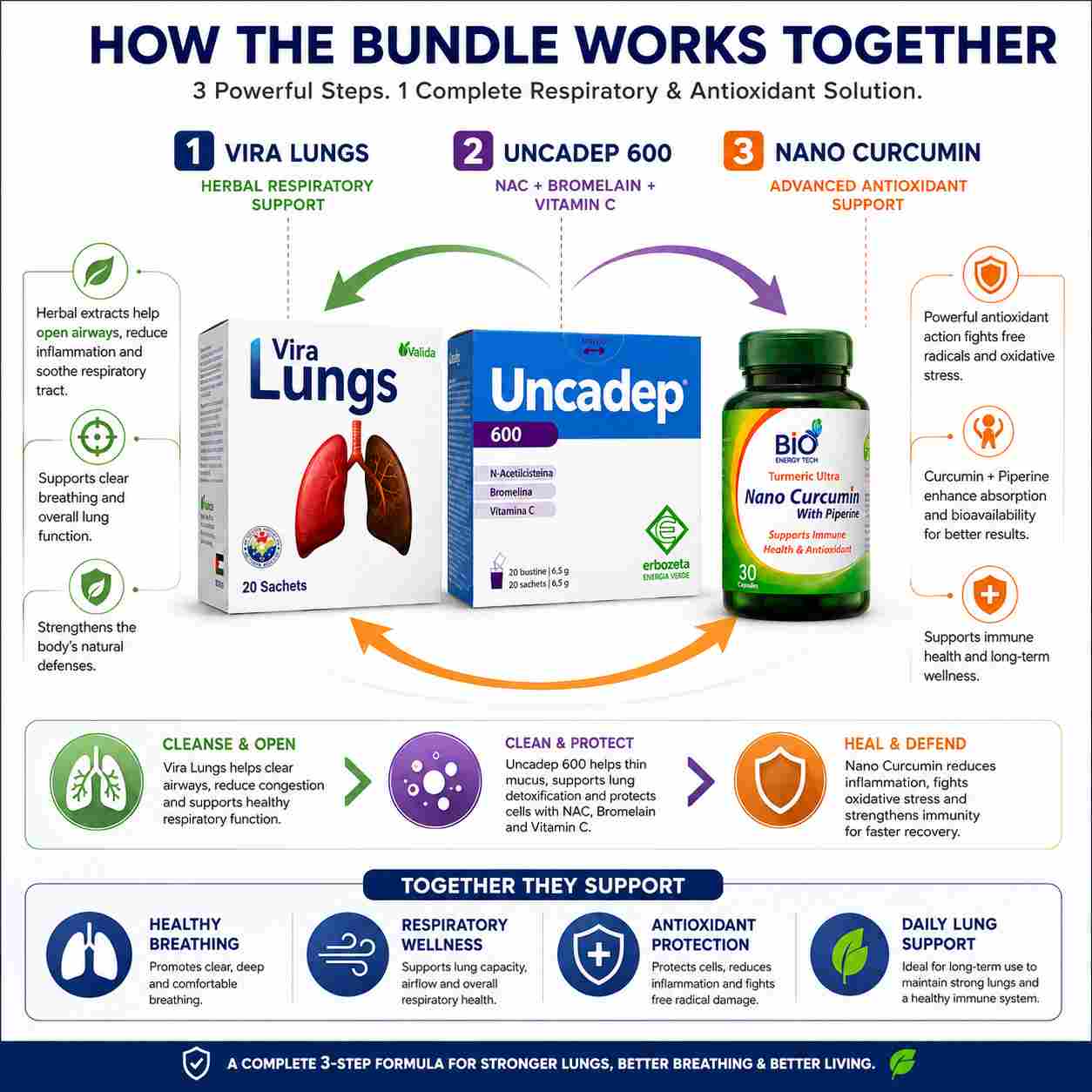Diagram of how Vira Lungs, Uncadep 600, and Nano Curcumin work together for respiratory and antioxidant support.