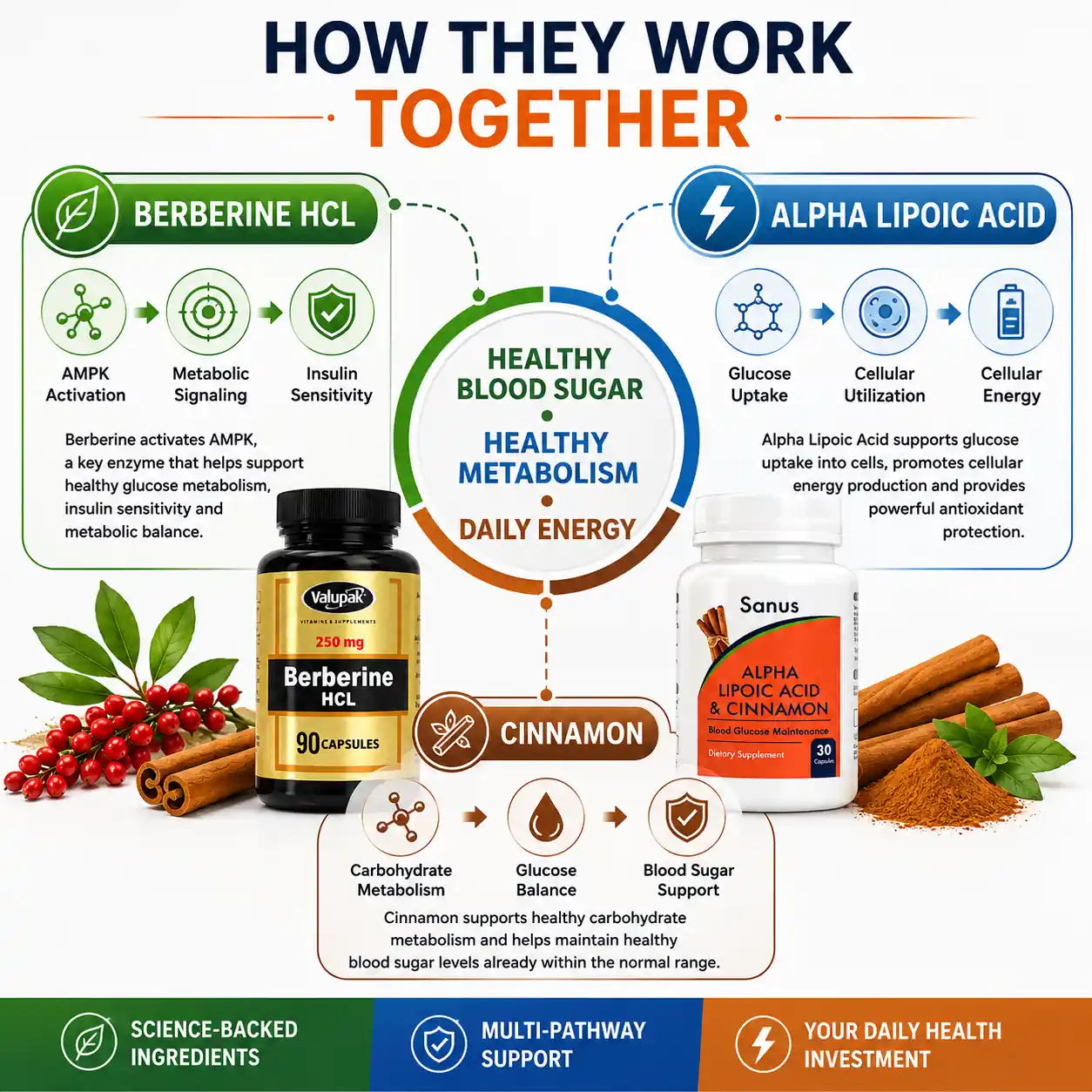 How Berberine HCl, Alpha Lipoic Acid and Cinnamon work together to support healthy blood sugar metabolism and insulin sensitivity