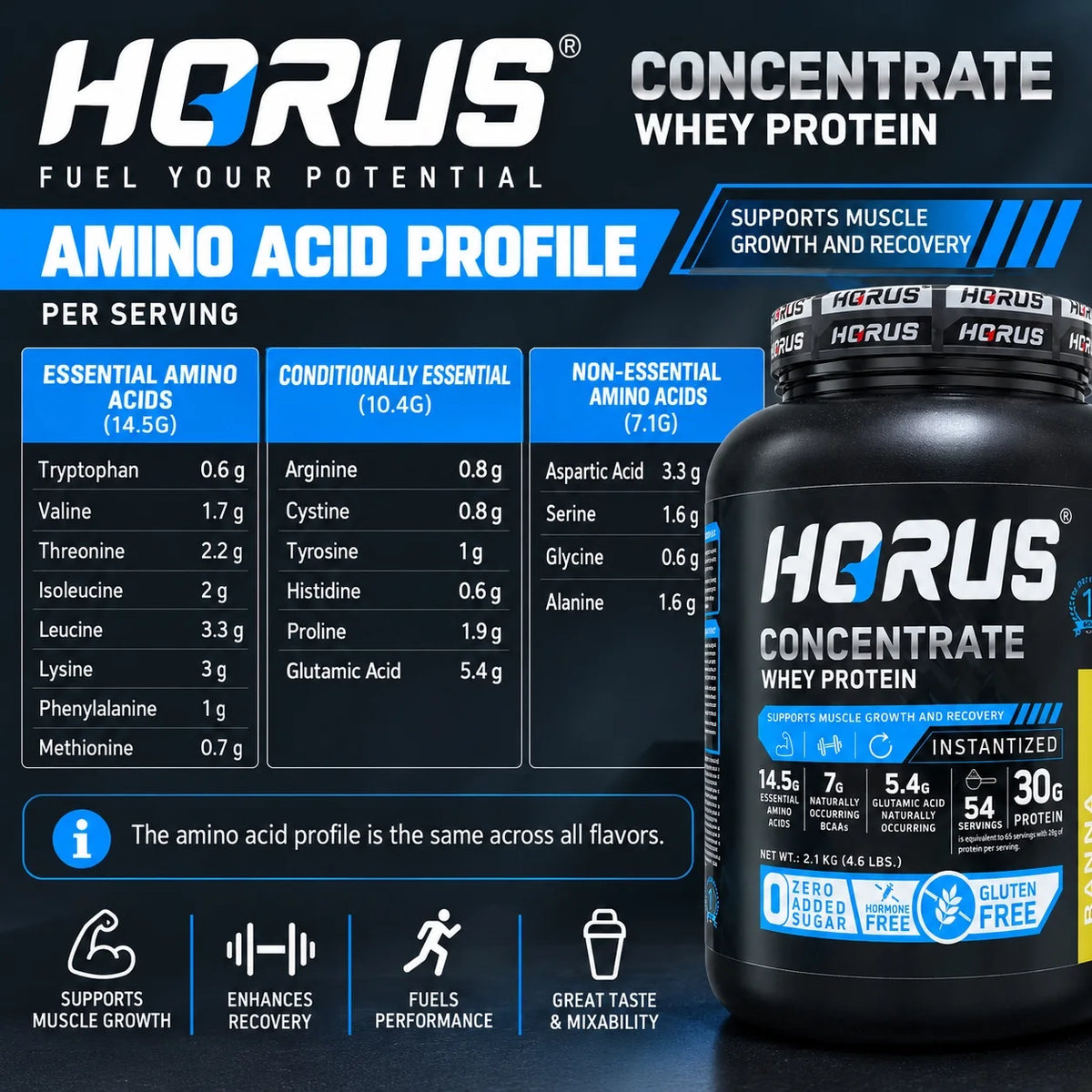 A promotional graphic for HORUS Concentrate Whey Protein, showing a large tub of black protein powder on the right and a detailed amino acid profile table on the left. The text highlights key amino acids like Tryptophan, Cystine, and Glutamic Acid, and notes features such as instantized packaging.