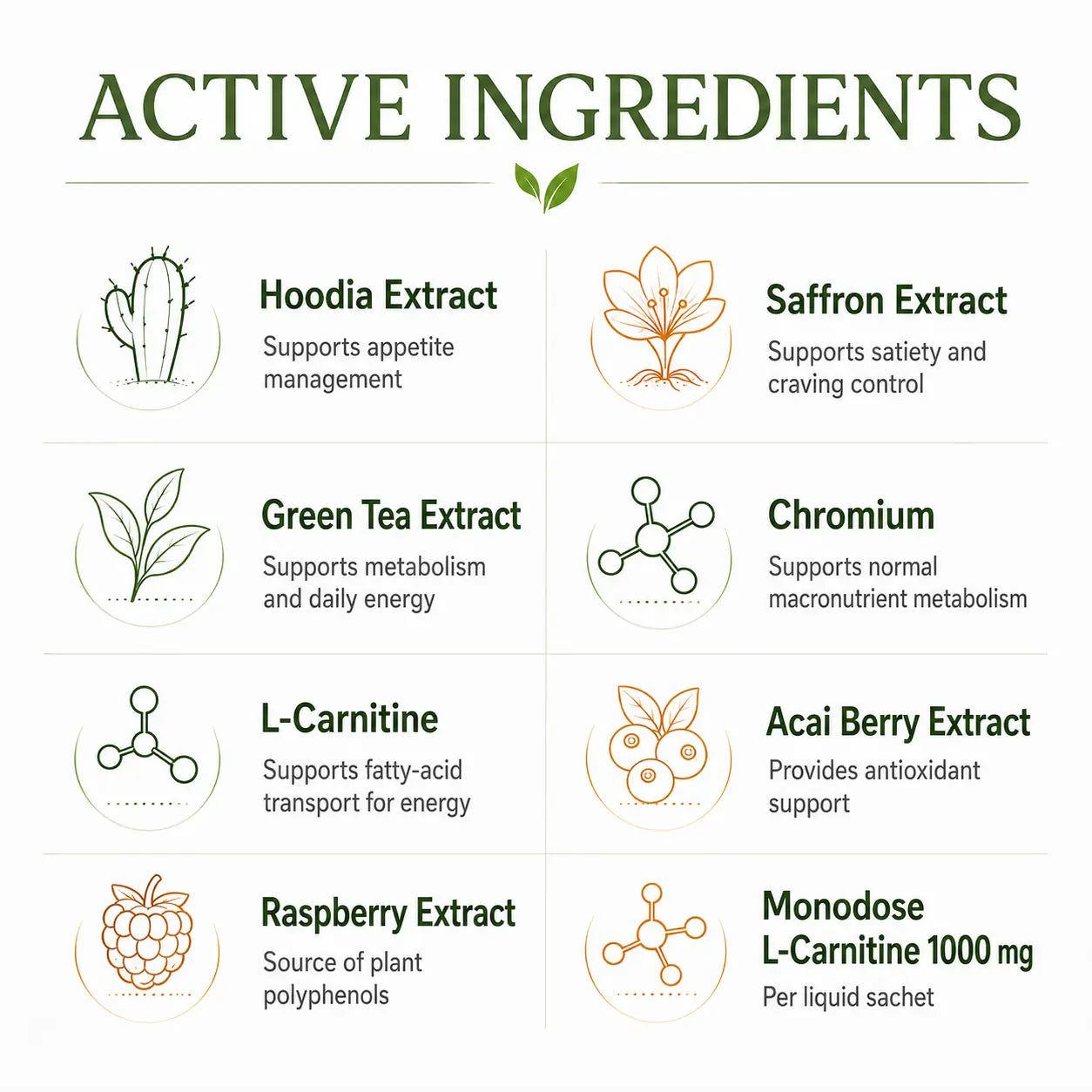 Active ingredients in the Slimi7 Plus bundle including saffron, Hoodia, green tea, chromium and L-Carnitine.